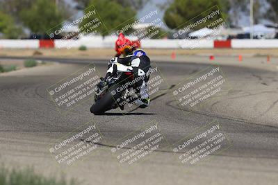 media/Sep-07-2025-Pacific Track Time (Sun) [[a6322260b9]]/A and B Group/Wheelie Bump A and B/